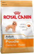 Корм сухий для дорослих собак для середніх порід Royal Canin Poodle Adult 1,5 кг (домашня птиця) 1,5 кг