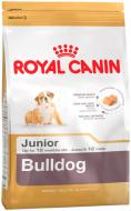 Корм сухий для цуценят для середніх порід Royal Canin Bulldog Junior 3 кг (домашня птиця) 3 кг
