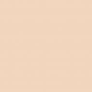 Краска интерьерная латексная Caparol Samtex 7 E.L.F. шелковистый мат Terra 16 2,5 л