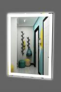 Зеркало со встроенной подсветкой Оазис 600х1000 мм