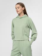 Джемпер 4F 4FSS22TSWSF161-42S р. XL зелений