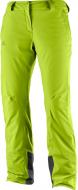 Брюки Salomon Icemania Pant W L39742000 р. S лайм