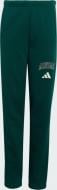 Брюки Adidas J CLGT FL PNT KS5129 р. 164 зеленый Брюки Adidas J CLGT FL PNT KS5129 р. 164 зеленый