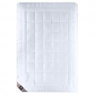 Одеяло зимнее Air Dream Premium 200x220 см IDEIA Одеяло зимнее Air Dream Premium 200x220 см IDEIA
