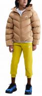 Куртка детская зимняя Nike Sportswear All Day HQ4976-200 р.M Куртка детская зимняя Nike Sportswear All Day HQ4976-200 р.M