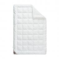 Одеяло зимнее Super Soft Premium 200x220 см IDEIA