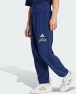 Брюки Adidas M COLL FT PT KG0521 р. 2XL синий
