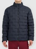 Пуховик мужской 4F M0938 4FWAW26TDJAM0938-20S р.L черная