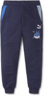 Брюки Puma LIL PUMA Sweatpants 53179606 р. 98 темно-синий