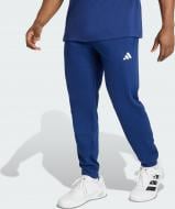 Брюки Adidas WO-ES FR PT KS7960 р. 3XL голубой