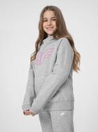 Джемпер 4F NOSDJ-JBLD301-26M серый