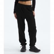 Брюки THE NORTH FACE W GLACIER FLEECE PANT NF0A8DQRJK31 р.L черный