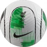 Футбольный мяч Nike LFC NK ACADEMY- SU22 FB2899-100 р.4