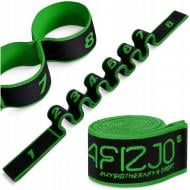 Эспандер 4fizjo с петлями для растяжки 90 см Black/Green (P-5907739313799)