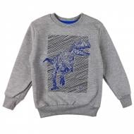 Свитшот для мальчика Maccaboy c драконом 8154 р.110 серый