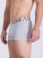 Шорты Big Star JONAS 150088991 р. XL темно-серый