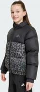 Куртка для дівчаток зимова Adidas JG SD AOP JKT KH0202 р.170 чорна