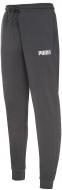 Брюки Puma Sweatpants 53741318 р. S разноцветный