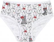 Трусы для девочки KOSTA 0377-7 р.110-116 белый