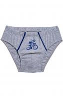 Трусы для мальчика KOSTA 0362-4 р.110-116 серый