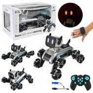 Игрушка на радиоуправлении Shantou 2950-1