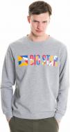 Джемпер Big Star MOHA 154394979 р. L сірий