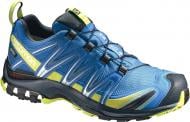 Кроссовки мужские Salomon XA PRO 3D GTX® C L39332100 р.43 1/3 голубые