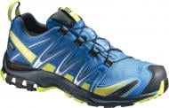 Кроссовки мужские Salomon XA PRO 3D GTX® C L39332100 р.42 голубые