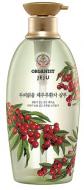 Шампунь LG Organist Jeju Soap Berry 500 мл