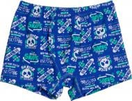 Трусы для мальчика KOSTA 0245-5 р.146-152 синий