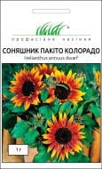 Семена Професійне насіння подсолнух декоративный Пакито Колорадо смесь 1 г