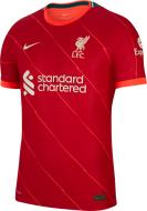 Футболка Nike LFC MNK DFADV MTCH JSY SS HM DB2533-688 р.M красный