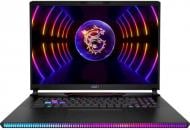 Ноутбук MSI Raider 17,3" (RAIDER GE78HX 13VH-210UA) black