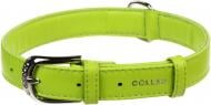Ошейник Collar Glamour без украшений 2,5х38-49 см 33045