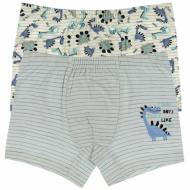 Трусы для мальчика Donella 75950CB р.98-104 в ассортименте