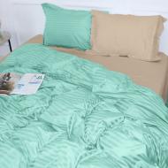 Комплект постельного белья MirSon Satin Stripe 30-0014 + 30-0004 Aivengo 110х140 см мятный/бежевый