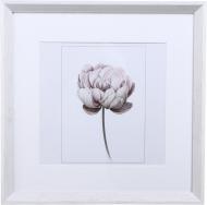 Фоторамка с паспарту Арт-Сервіс ЕА-01912 1 фото 20x20 см белый дуб