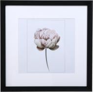 Фоторамка с паспарту Арт-Сервіс ЕА-01914 1 фото 20x20 см черный