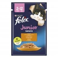 Консерва для кошенят Felix Junior Fantastic курка в желе 85 г