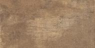 Плитка Allore Group Urban Rustic W M NR Glossy 31x61