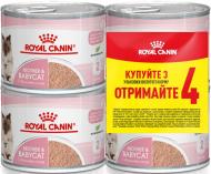 Набір корму для кішок у період лактації та новонароджених кошенят Royal Canin V.D. Babycat Instinctive Cans 3+1 195 г