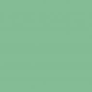 Краска интерьерная латексная с колорированием Caparol CapaLatex 8 шелковистый мат Oase 50 2,5 л