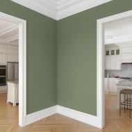 Краска латексная Caparol CapaLatex 8 шелковистый мат Oase 50 2,5 л