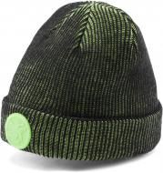 Шапка Puma Santa Cruz Beanie 02355601 р.one size зелений