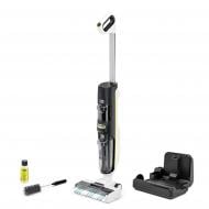 Моющий аккумуляторный пылесос Karcher FCV 4 Dry Pet & Home black