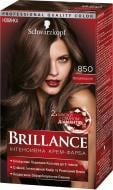 Крем-фарба для волосся Schwarzkopf Brillance 850 венеціанська ніч 142,5 мл