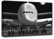 Картина Самолет Airbus A380 77x44 см Hotel Arizona HD 1-23291243887-AIRC-17x30-B-W