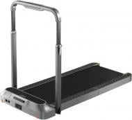 Беговая дорожка Walkingpad KingSmith (TRR2FB)