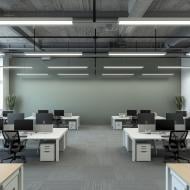 Краска интерьерная латексная Caparol CapaLatex 2 глубокий мат Патина 55 1 л