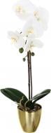 Цветок искусственный Орхидея Real Touch белая с желтой сердцевиной в горшочке 45 см